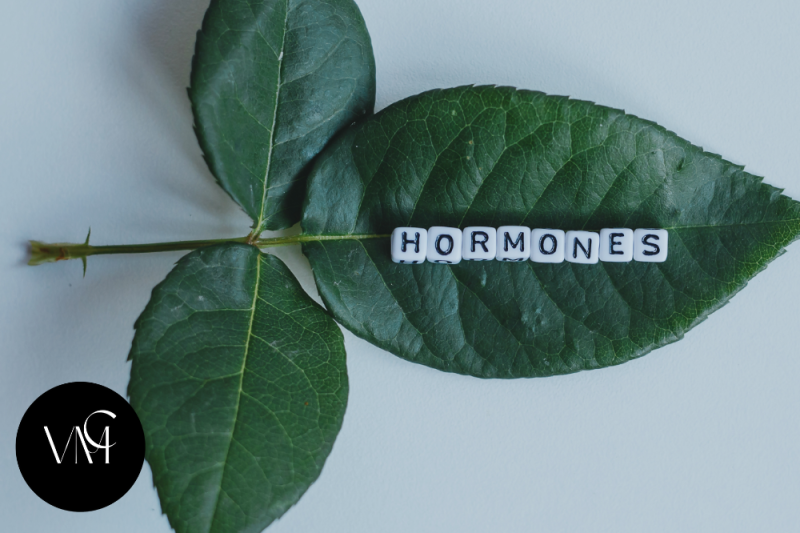 Your First 90 Days on BHRT: What to Expect